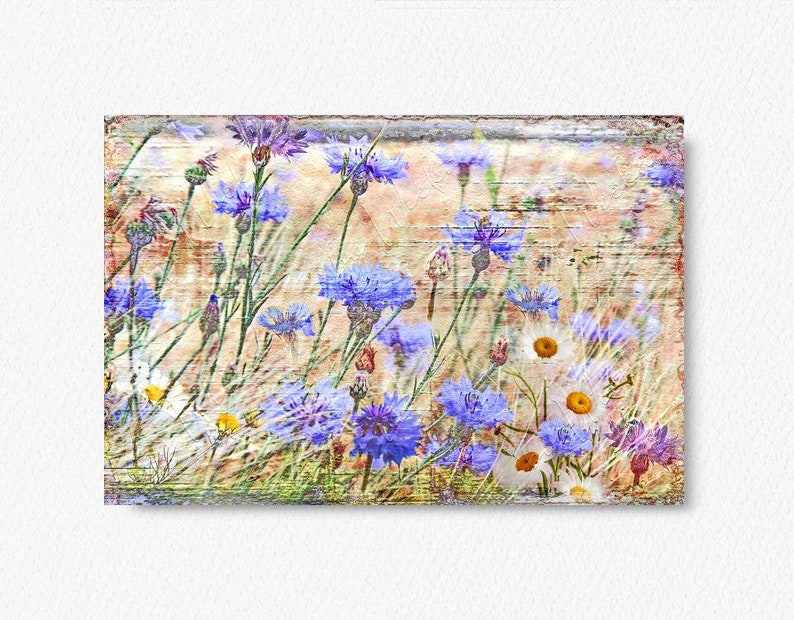 Blue CORNFLOWERS wall picture on wooden canvas art print summer flowers flower meadow wall decoration country house style Shabby Chic VintageArt buy cheaply image 4