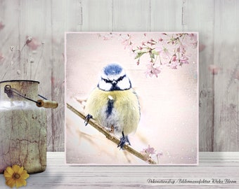 BLUE TIT CHERRY BLOSSOM BRANCH animal picture on wooden canvas art print spring messengers wall decoration country house style shabby chic vintage style