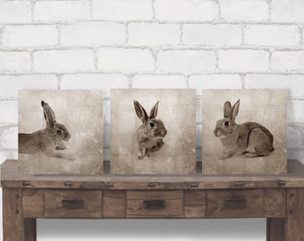 Acheter Animaux de la forêt HASEN Triptyque Tableau mural sur toile en bois Impression artistique Lapin Décoration murale Style maison de campagne Shabby Chic Style vintage Sephia