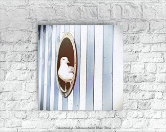 Mouette dans la bulle Image d'animal maritime sur toile en bois Impression d'art mouettes oiseaux de mer décoration murale style maison de campagne style shabby chic style vintage