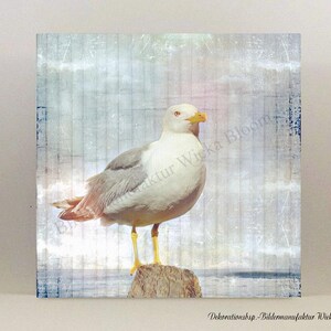 MÖWE AUF PFAHL Maritimes Wandbild auf Holz Leinwandbild Kunstdruck Meer Sommerzeit Wanddeko rustikal Landhausstil Vintage Style Shabby Chic