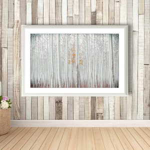 WHITE FOREST Bild auf Holz Leinwand Kunstdruck Print Wald Birken Bäume Landhausstil Natur Shabby Chic Vintage Style Handmade günstig kaufen Bild 3