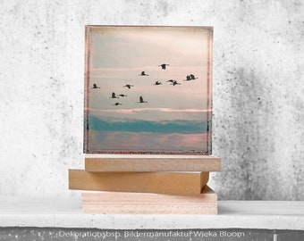 Acheter Oiseaux GRUES DANS LE CIEL DU SOIR photo murale sur toile en bois impression d'art oiseaux coucher de soleil décoration murale style maison de campagne style vintage shabby