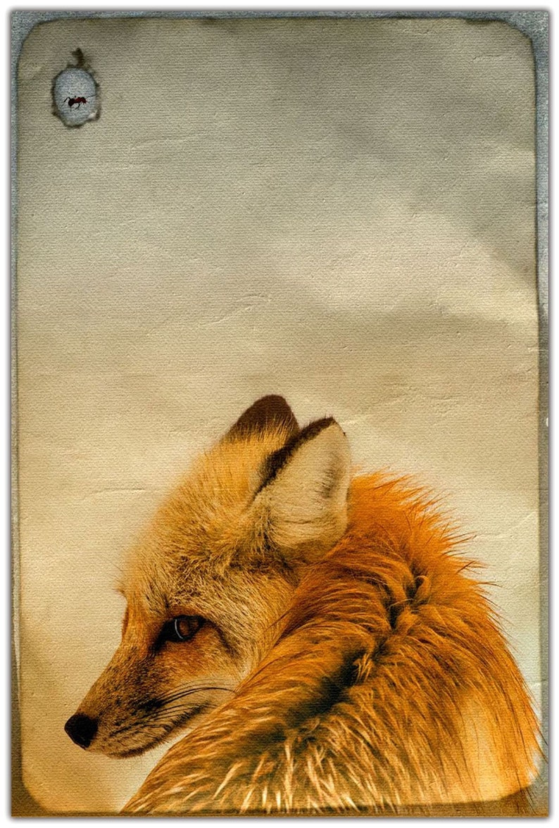 Forest animals FOXES animal picture on wood canvas art print wood print fox fox wall decoration picture country style shabby chic vintage style image 7