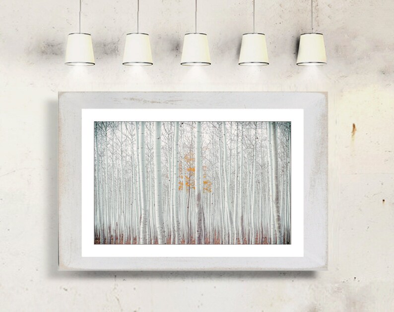 WHITE FOREST Bild auf Holz Leinwand Kunstdruck Print Wald Birken Bäume Landhausstil Natur Shabby Chic Vintage Style Handmade günstig kaufen Bild 4