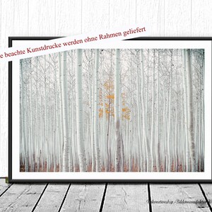 WHITE FOREST Bild auf Holz Leinwand Kunstdruck Print Wald Birken Bäume Landhausstil Natur Shabby Chic Vintage Style Handmade günstig kaufen Bild 5