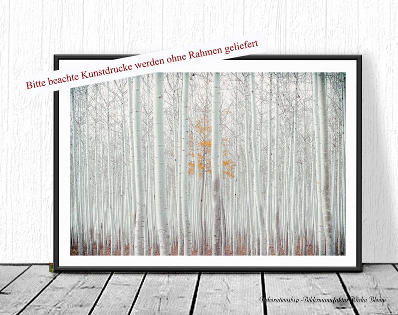 WHITE FOREST Bild auf Holz Leinwand Kunstdruck Print Wald Birken Bäume Landhausstil Natur Shabby Chic Vintage Style Handmade günstig kaufen Bild 5