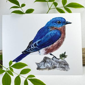 Bluebird Cards