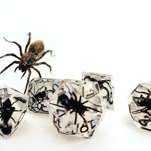 Könnte beinhalten: Ein Satz von sechs transparenten Würfeln mit schwarzen Zahlen und einer Spinne, die in jedem Würfel eingeschlossen ist. Eine größere Spinne befindet sich im Hintergrund.
