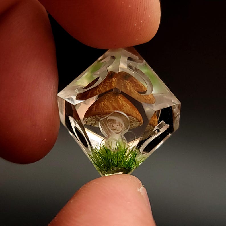 May include: A clear resin dice with a mushroom and green moss inside. The dice has numbers on each side.