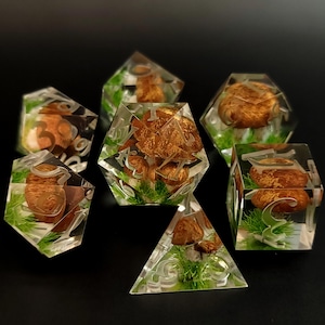 May include: Set of seven clear resin dice with mushroom and green moss inclusions. The dice are numbered 1 through 6.
