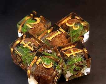 2-4-6 D-6 bospaddenstoelenset-bosdobbelstenen-TtRPG-set-met boleetpaddestoelen