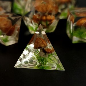 May include: A clear pyramid-shaped dice with a mushroom and green moss inside. The dice has a white design on the sides.