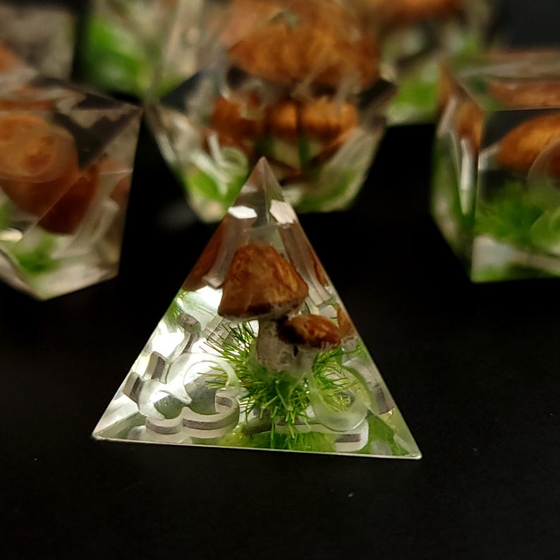 May include: A clear pyramid-shaped dice with a mushroom and green moss inside. The dice has a white design on the sides.