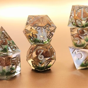 Boletus Mushroom DnD Dice Set TtRPG and Pathfinder Fantasy Gaming Gift D&D dice,