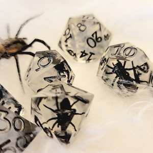 May include: A set of clear resin dice with black spiders encased inside. The dice are numbered 4, 6, 8, 10, and 20. The dice are on a white fuzzy surface.