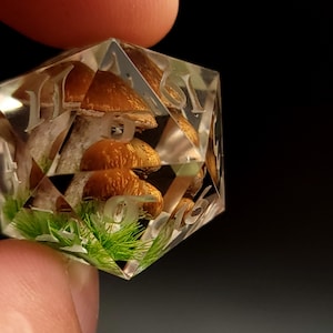 May include: A clear, multi-sided dice with numbers 1-6 etched on each side. The dice contains a miniature forest scene with a small mushroom and green moss.