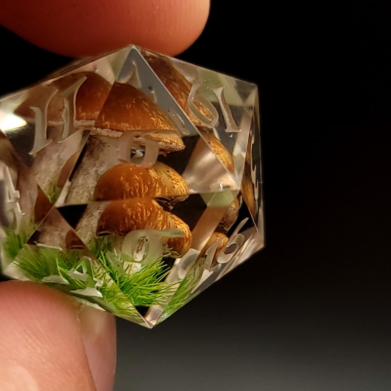 May include: A clear, multi-sided dice with numbers 1-6 etched on each side. The dice contains a miniature forest scene with a small mushroom and green moss.