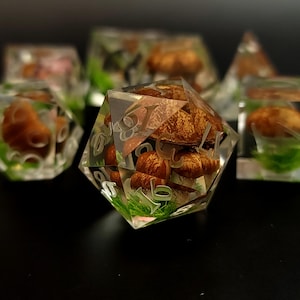 Handmade Forest Mushroom DnD Dice Set: Sharp Edge Resin 7 Dice
