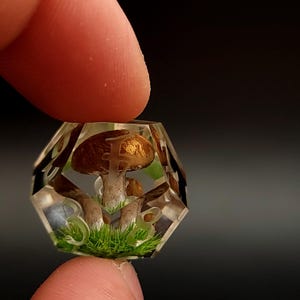 May include: A clear, multi-sided dice with a mushroom design. The dice is filled with resin and contains three mushrooms with brown caps and white stems. The mushrooms are surrounded by green moss.