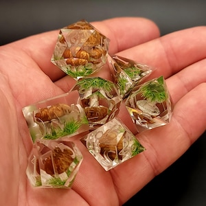 May include: Set of seven clear resin dice with mushroom and moss inclusions. Each die has a different number of sides, ranging from four to twenty.