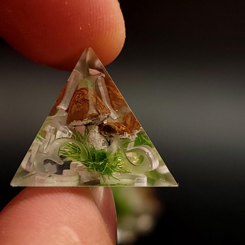 May include: A clear triangular resin dice with a mushroom and green moss inside. The dice has white numbers on each side.