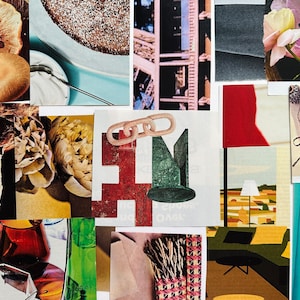 May include: A collage of images featuring various textures and colors. The collage includes images of mushrooms, flowers, a chain, a lamp, a glass of wine, and a building. The collage is a mix of abstract and realistic images.