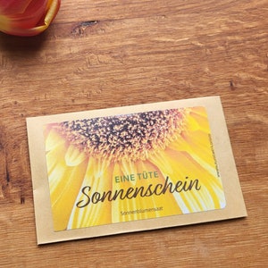 Saco de sementes “Sunshine” | Girassóis