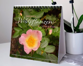 Tischkalender "Zauberhafte WILDPFLANZEN" | Kräuter | Heilpflanzen | jahresunabhängig | Fotos | Rezepte | Wissenswertes