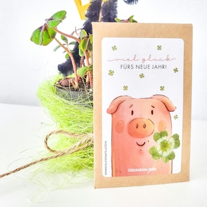 Peut inclure: Un sachet de graines avec une illustration de cochon de dessin animé tenant un trèfle à quatre feuilles, avec le texte "viel glück FÜRS NEUE JAHR!". Un petit pot de plante avec des feuilles vertes et un filet décoratif vert en arrière-plan.