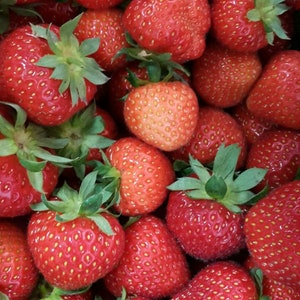 Strawberry whole milk chocolate fruit spread 50 g / 210 g image 4