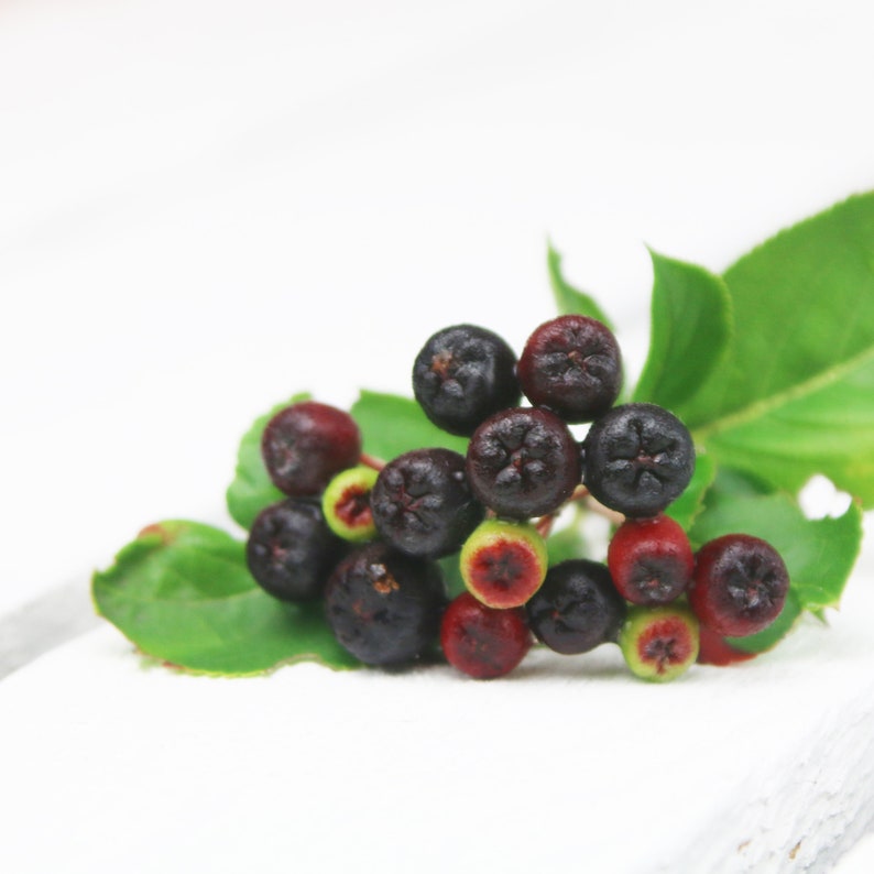Aronia blackberry fruit spread 50 g / 210 g image 4