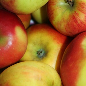 Apple ginger fruit spread jelly 50 g / 210 g image 5