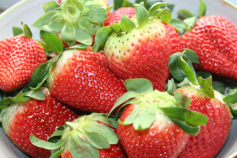Strawberry vinegar preparation 20 ml / 100 ml / 250 ml image 3