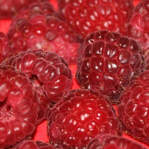 Raspberry fruit spread 50 g / 210 g jam jam image 4