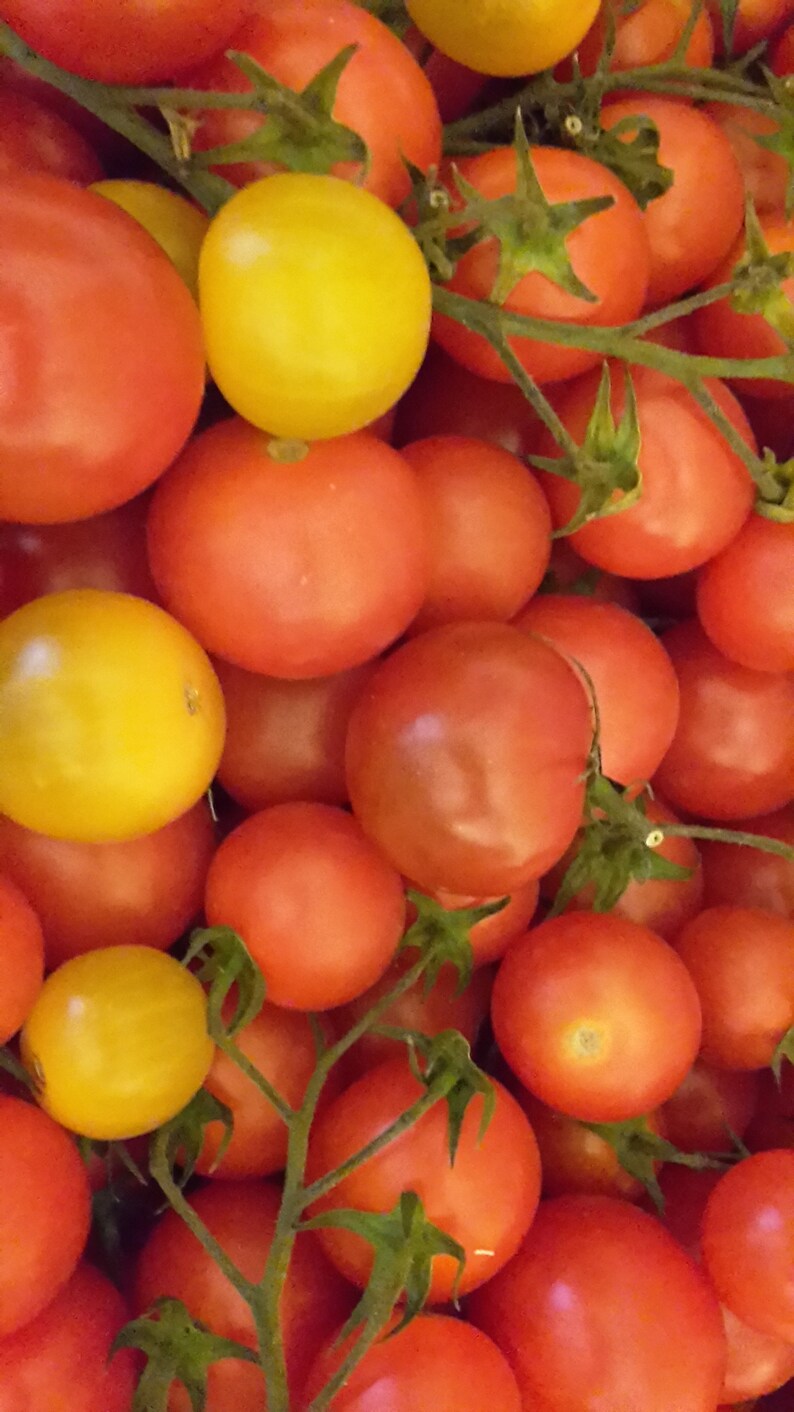 Tomate Erdbeere Sauerkirsche Chili Fruchtaufstrich 50 g / 210 g Bild 4