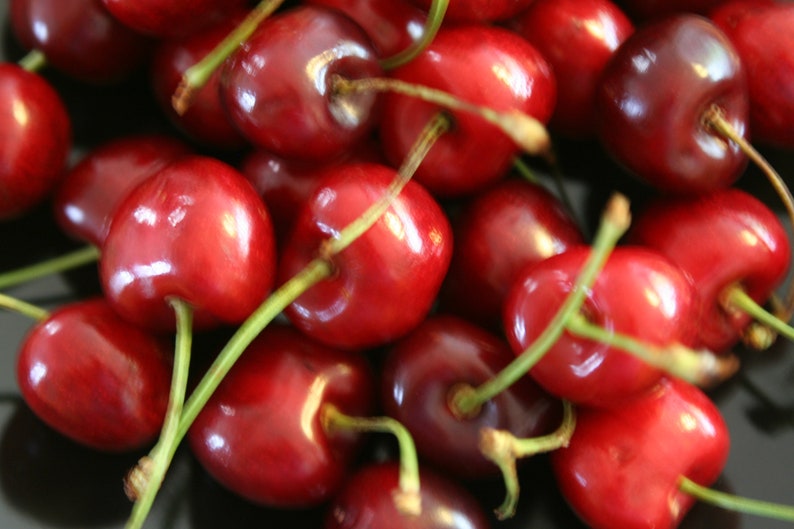 Plum Cherry Cinnamon Port Wine Fruit Spread 50g / 100g image 5