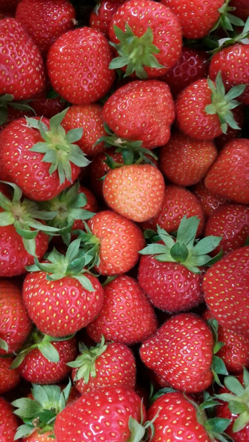 Erdbeere Dattel Fruchtaufstrich 50 g / 210 g Bild 4