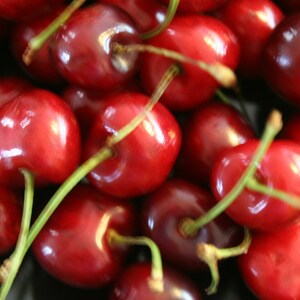 Cherries with kirsch fruit spread 50 g / 210 g image 4