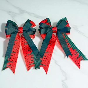 Equestrian Show Bows - Horseback Riding Hair Ribbons - Pony Bows - Pony show bows - Horse show bows - Equestrian Hair Bows