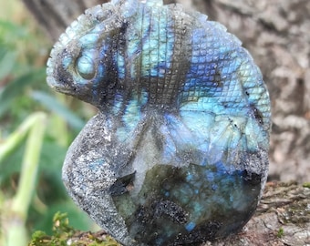 Labradorite Pierre de Guérison Caméléon Sculpture Sculptée Figure Faite à la Main Unique F18