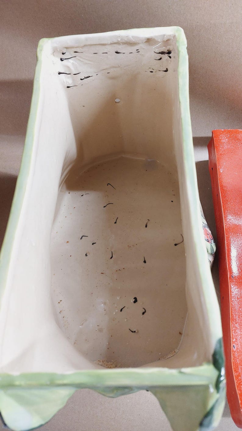 May include: A rectangular ceramic planter with a light green rim and a white interior. The planter has a slightly textured surface and appears to be empty. A red object is visible on the right side of the planter.
