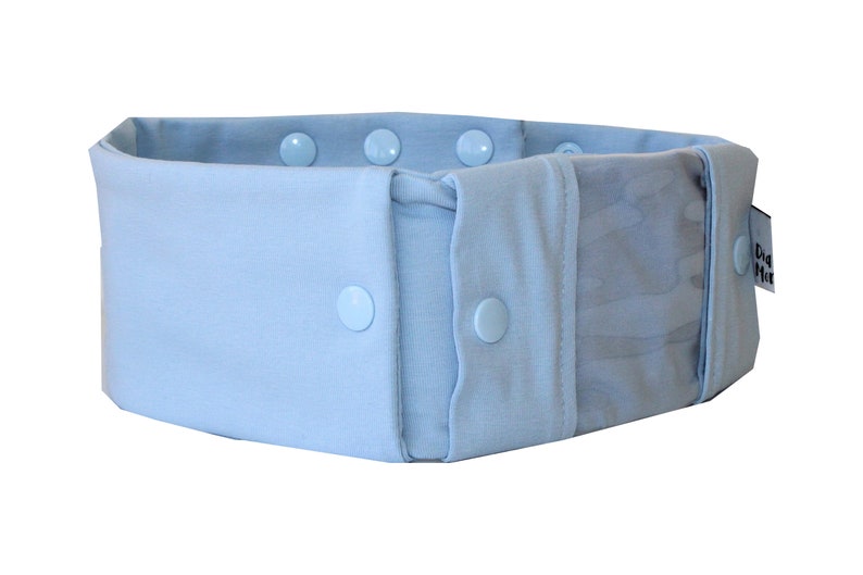 Pump bag, double pocket for mobile phone or receiver and insulin pump, made in desired size image 1