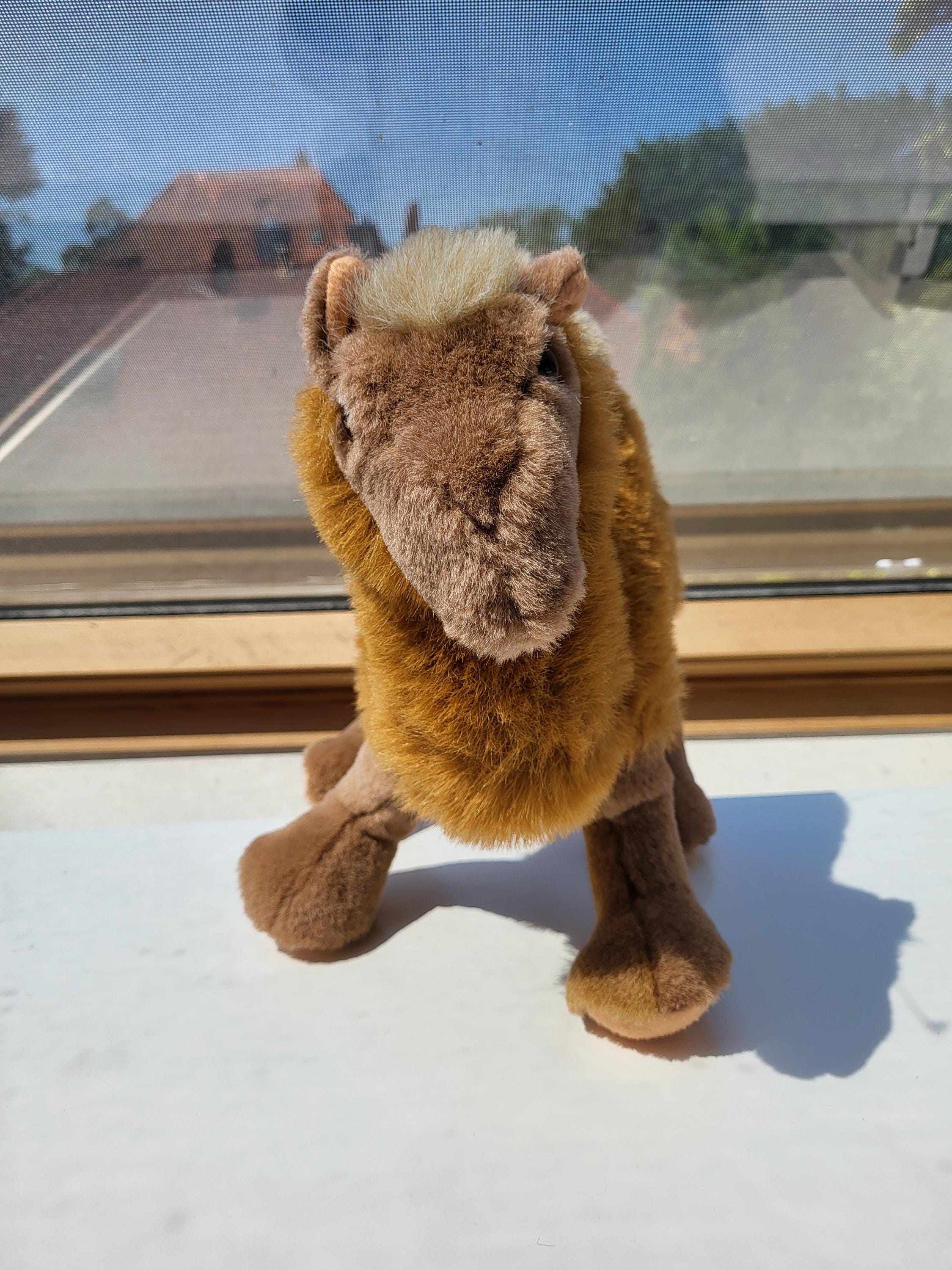 Vieux Ours En Peluche Sigikid Made In Germany - XXème