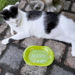 glass feeding plate bowl