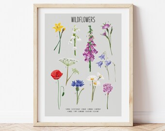 Wildflowers Art Print // Natural History Poster, Flower Identification, Woodland Wildflowers, Minimal Botanical Art, Minimal Botanical