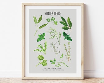 Kitchen Herbs Print