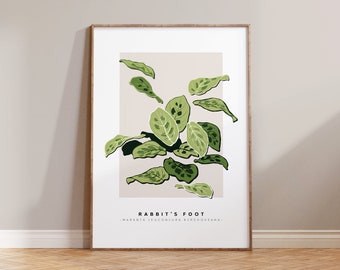 Rabbit's Foot Plant Print / Indoor Plant Lover, Plant Dad, Prayer Plant, Houseplant Mum, Plant Daddy, Minimal Botanical Art, Plant Mum