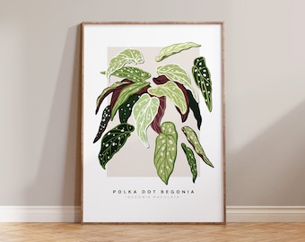 Polka Dot Begonia Print / Indoor Plant Lover, Plant Dad, Houseplant Art Gift, Houseplant Mum, Plant Daddy, Minimal Botanical Art, Plant Mum