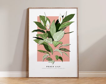 Peace Lily Print / Indoor Plant Lover, Plant Dad, Houseplant Gift, Plant Daddy, Plant Lady, Minimal Botanical Art, Plant Mum
